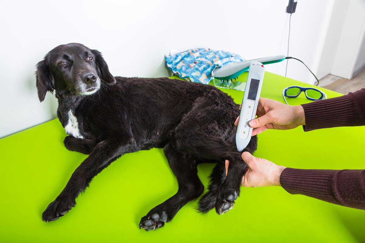 Laser Therapy Fargo, ND