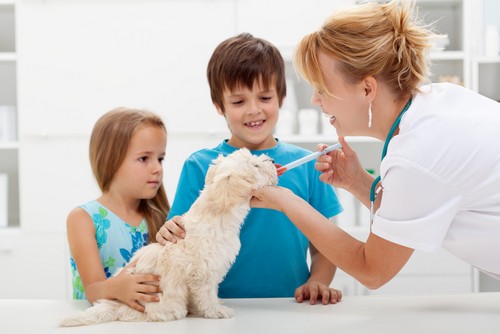 Vaccinations Fargo, ND